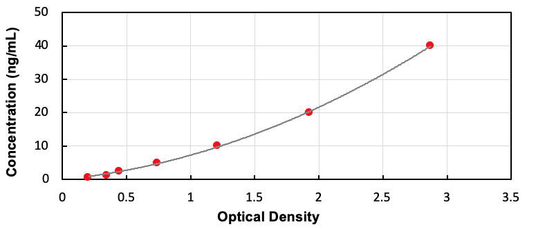 Rat Tubulin Beta 3 (TUBb3) ELISA Kit - Detection Range: 0.625-40ng/mL